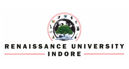 Renaissance University